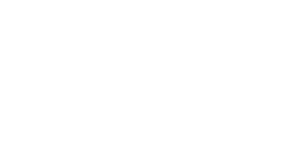 美人のハンバーグ